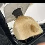 Cannabis Clones Mix & Match 6 Pack