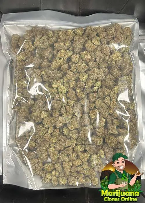 wholesale thca flower pounds in bag