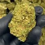 Wholesale THCp Flower Pounds | Order Today!