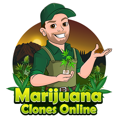 marijuana clones logo